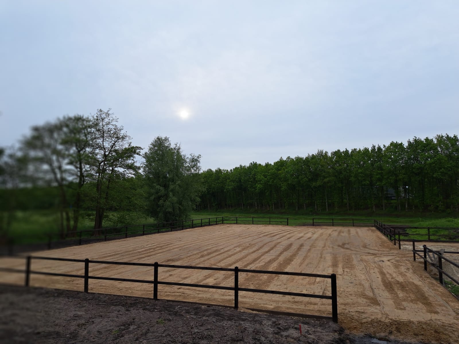 Paardenstallen